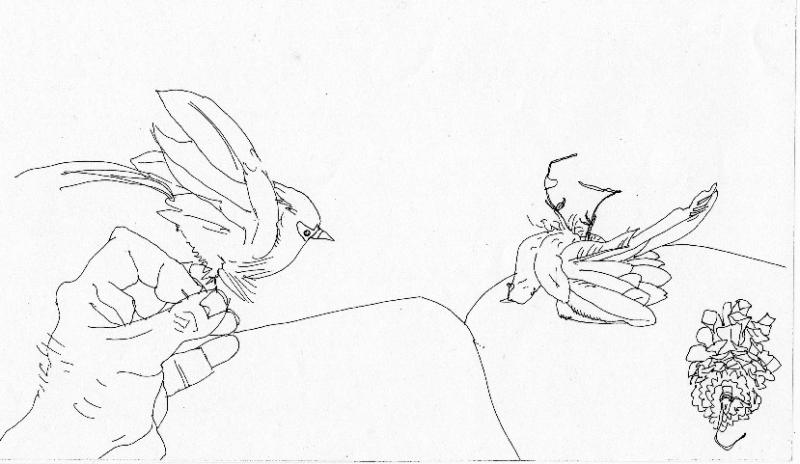 Christmas 08 one flies; one dies